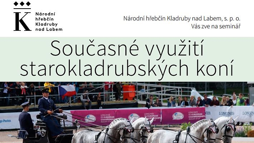 O současném využití starokladrubských koní