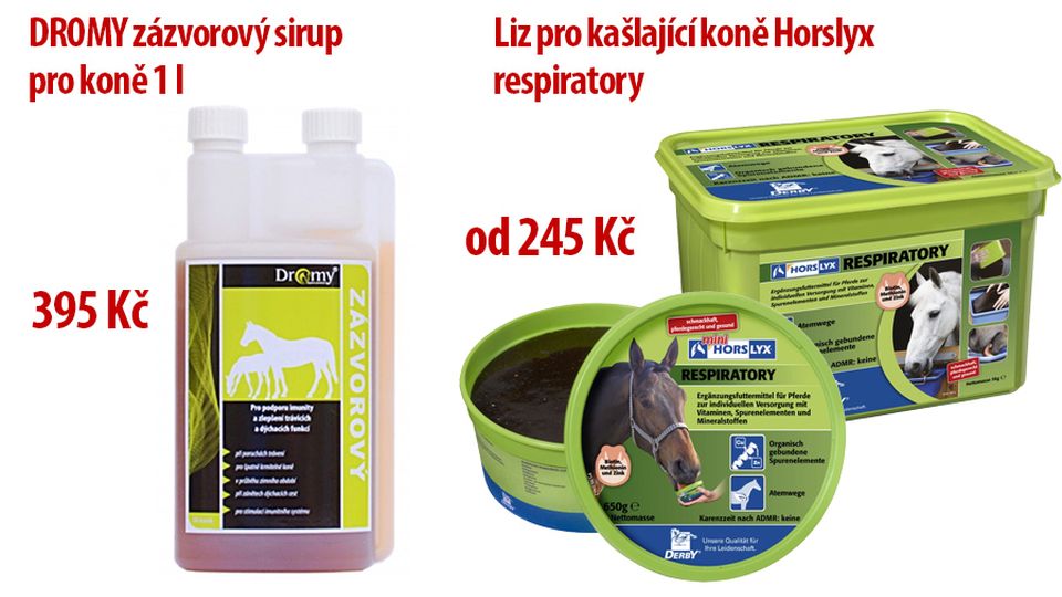 Nachlazení se nevyhýbá ani našim miláčkům