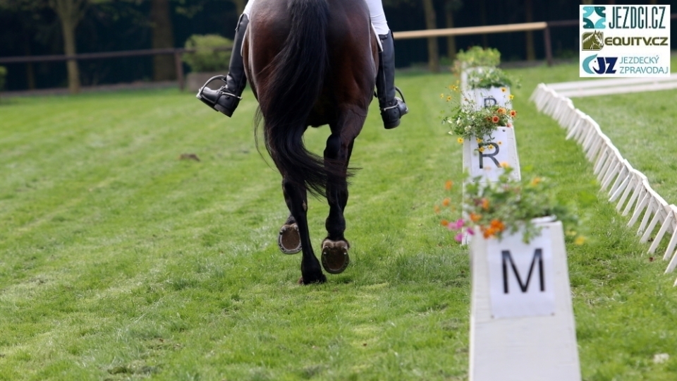 CCI4* v Pau vede v polovině drezur Canter