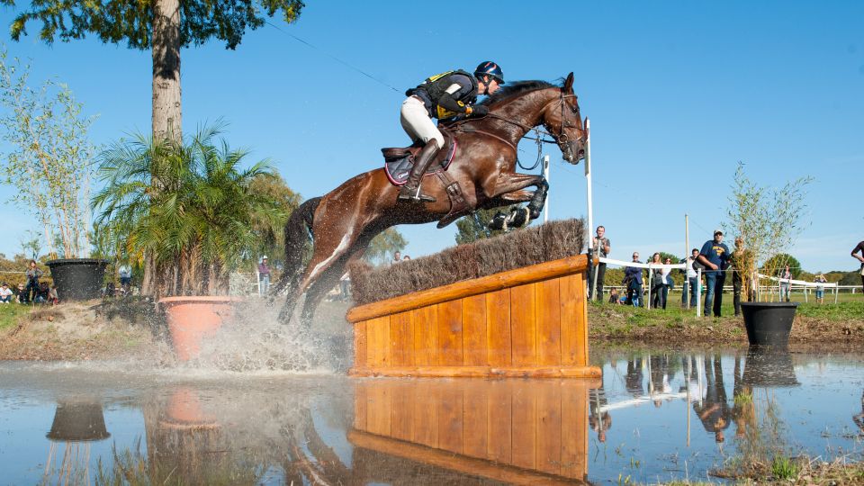 V čele CCI4* v Pau je po drezuře Shane Rose