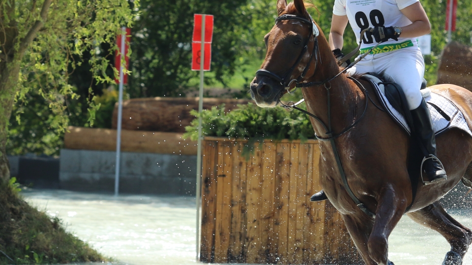 Gwendolen Fer vítězkou FEI Classics v Pau