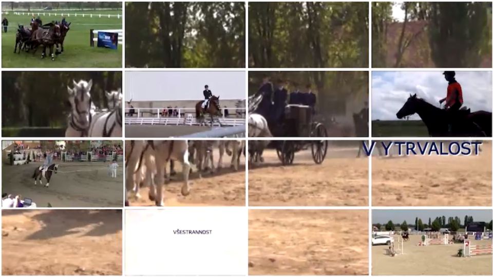 Jezdecký sport 2017 - terénní disciplíny