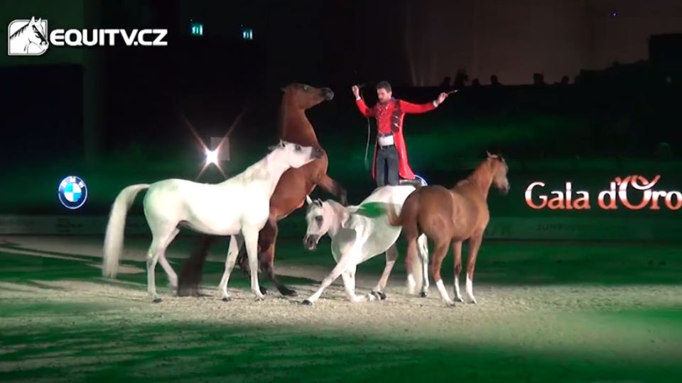 Čtyři dny veletrhu Fieracavalli objektivem EquiTV