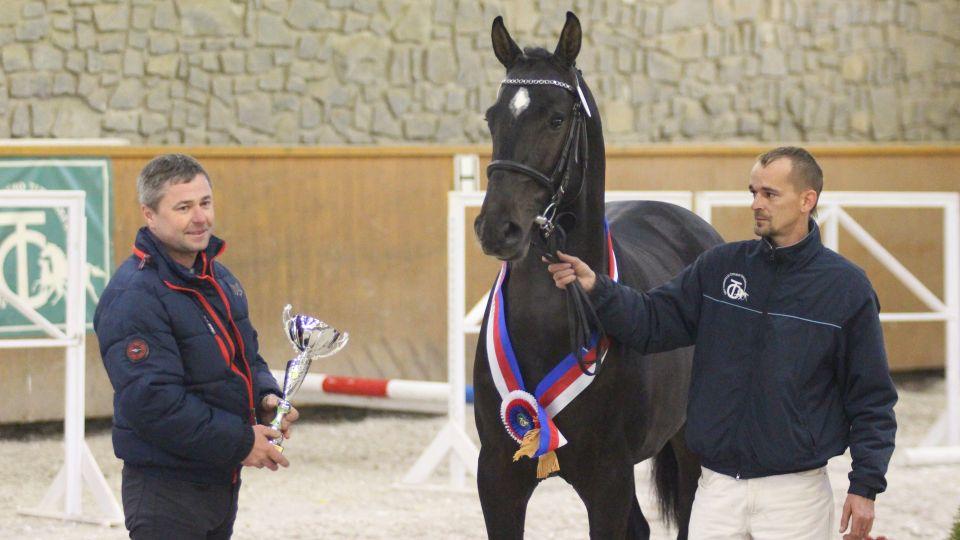 Heroutický předvýběr hřebců ČT 2017 ve fotogalerii