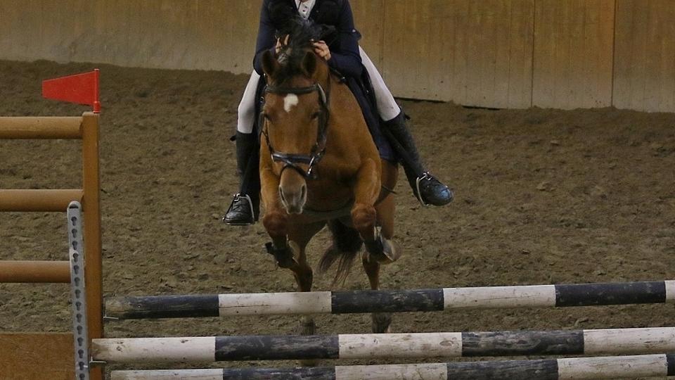 Do Heroutic na finále Pony ligy a extraligy 2017