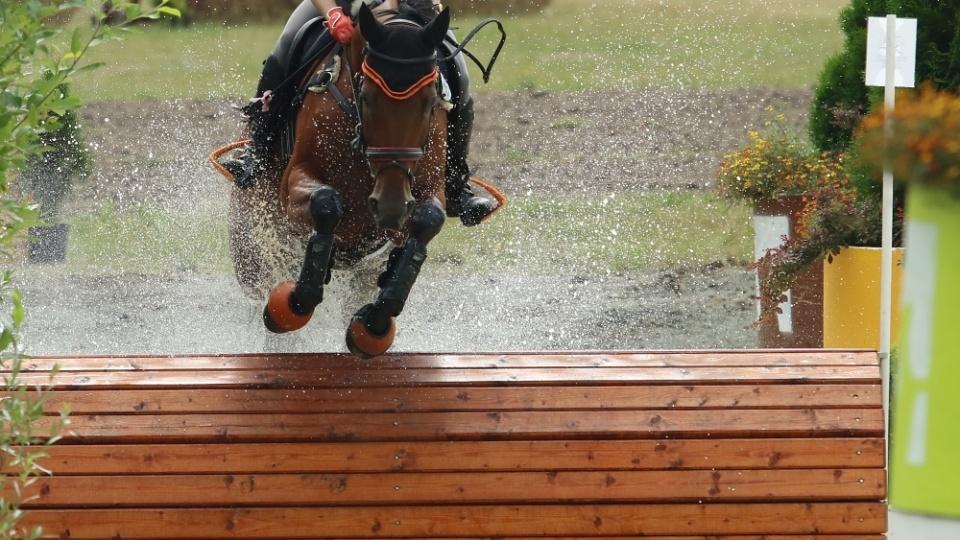 Po drezuře vede CCI4* v Adelaide Clarke Johnstone