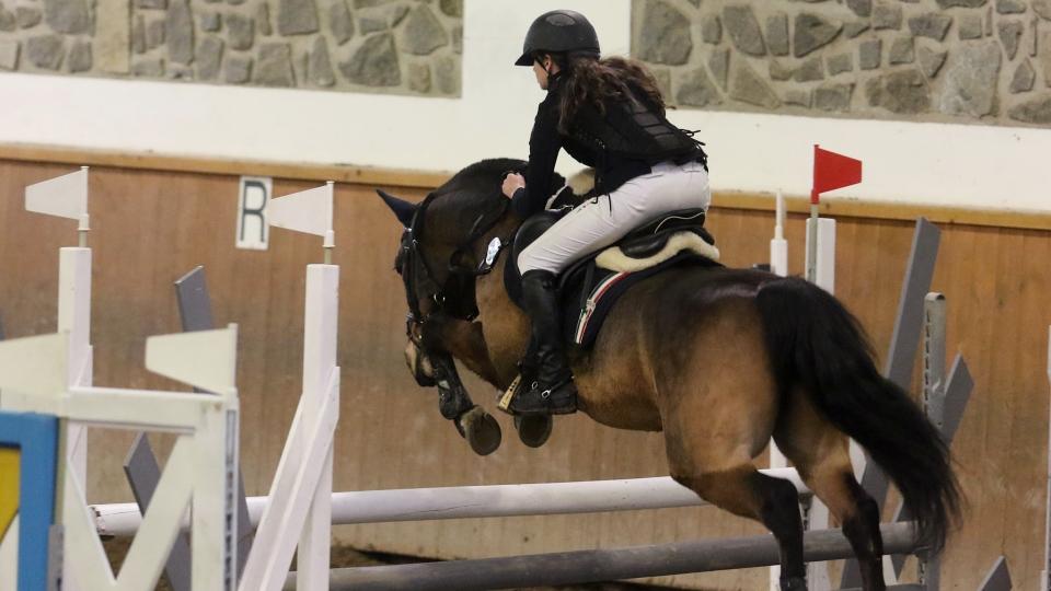 Známe účastníky velkého finále Pony Extraligy 2017