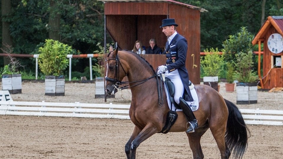 O mezinárodních závodech - CDI Brno 2018