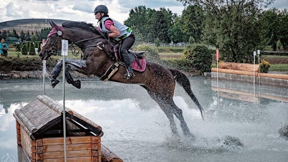 O mezinárodních závodech - CCI, CIC Pardubice 2018