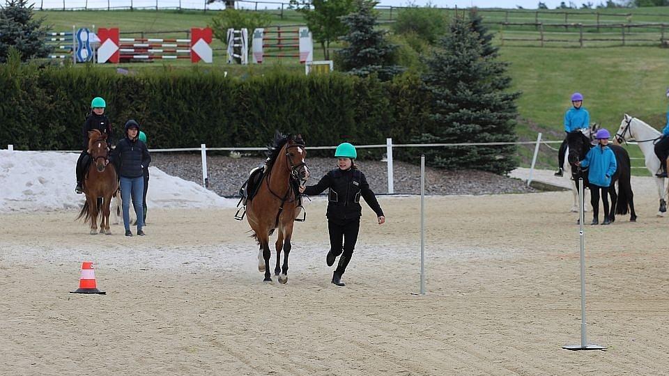 Pony-games Cup 2018 přinese změny v kategoriích