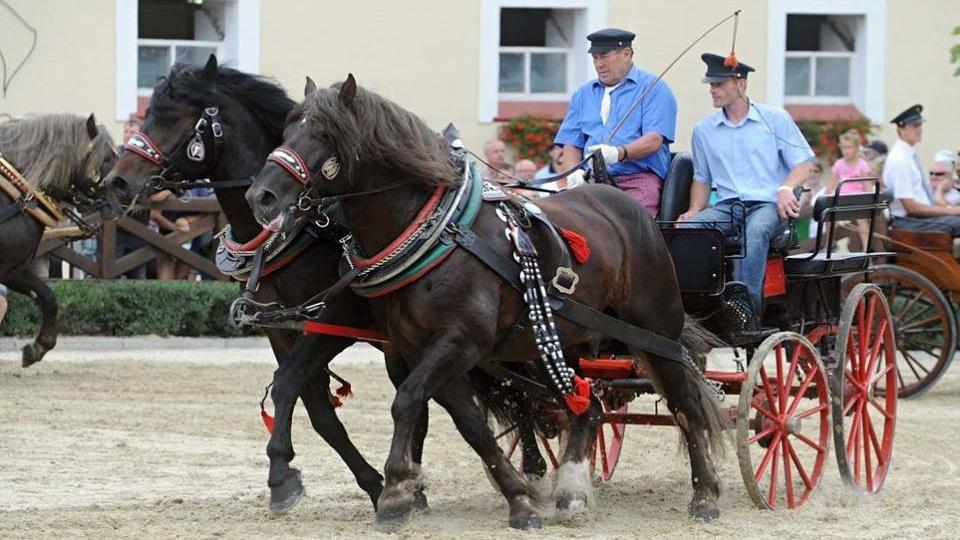 ZH Tlumačov nabídne v roce 2018 čtyřiadvacet akcí