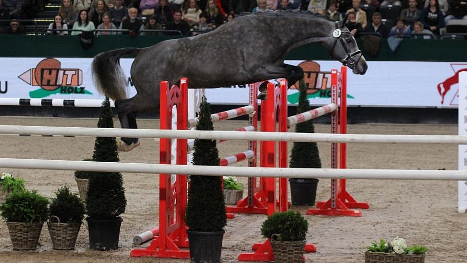 Skok ve volnosti při Partner Pferd 2018 v Lipsku