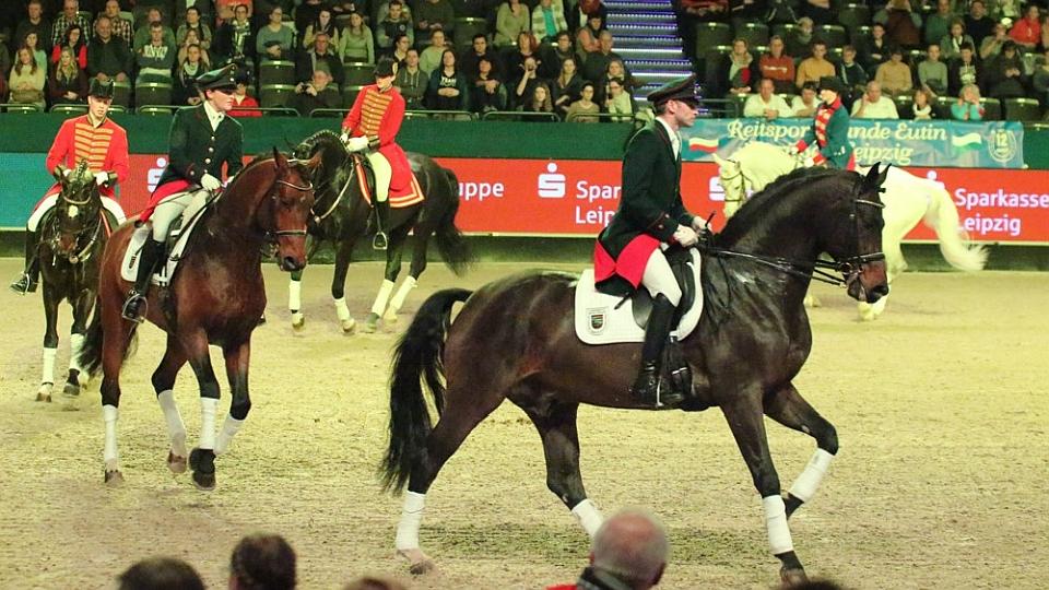Páteční show Partner Pferd 2018 před SP spřežení