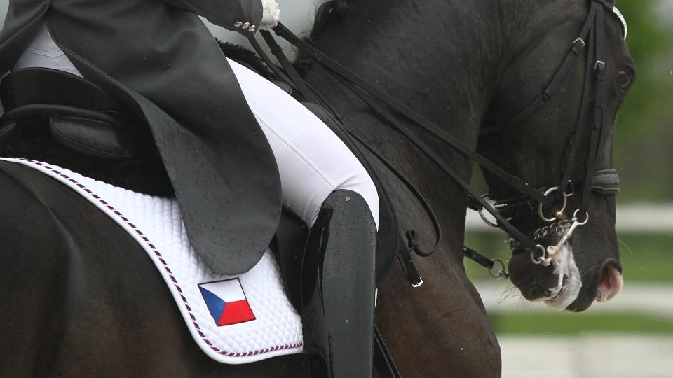 Češky odstartovaly při pátečním CDN Magna Racino