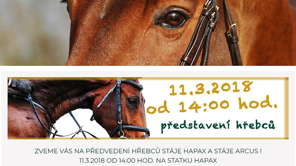 Březnové předvedení hřebců stájí Hapax a Arcus