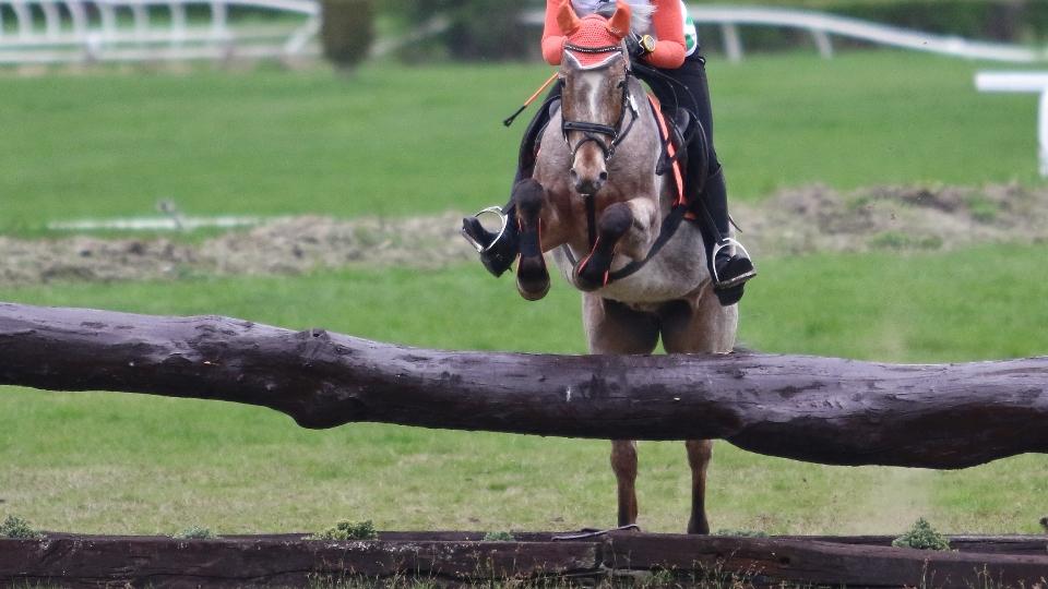 Pro pony jezdce je připraven seriál všestrannosti