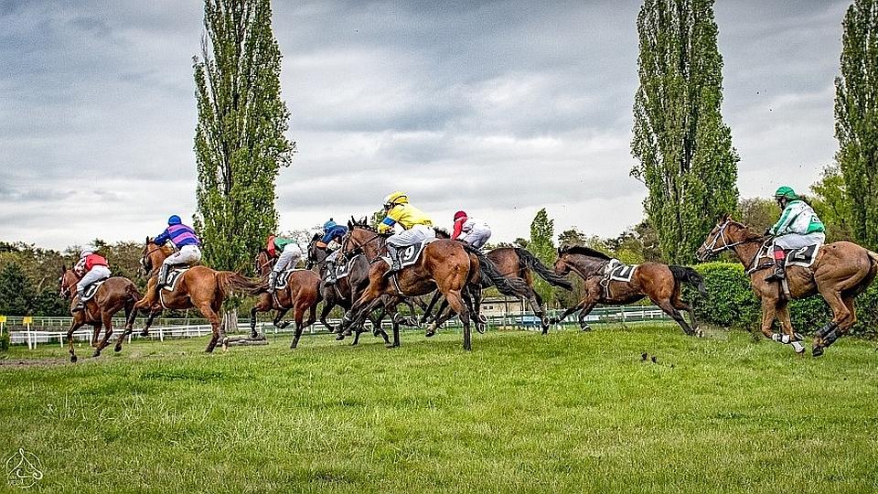 Oznámení Jockey Clubu ČR k dopingové kauze Lagara
