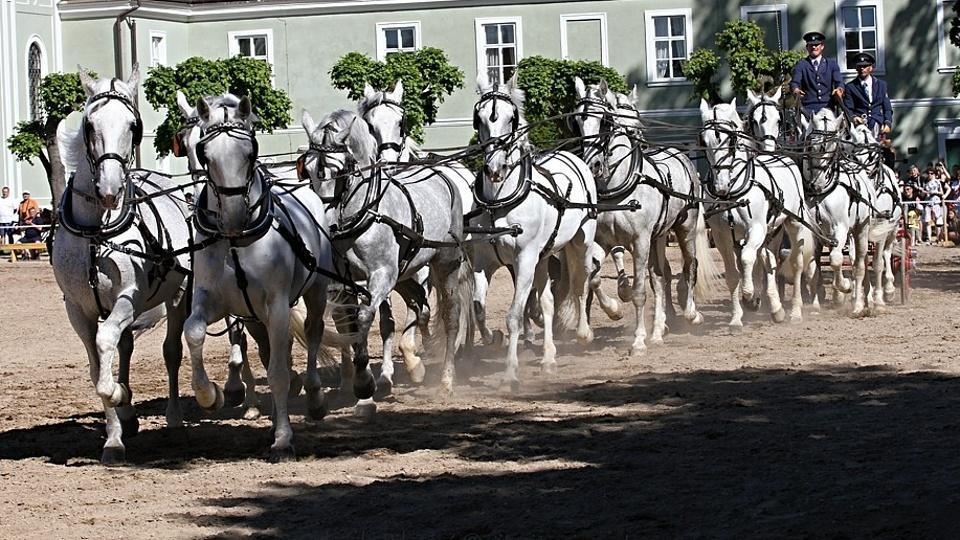 Přednáška o unikátní krajině v NH Kladrubech