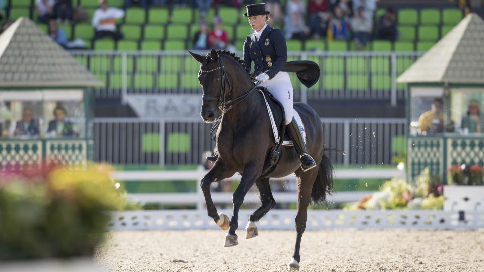 Z Jezdeckého katalogu 2018: WEG 2018 v Tryonu