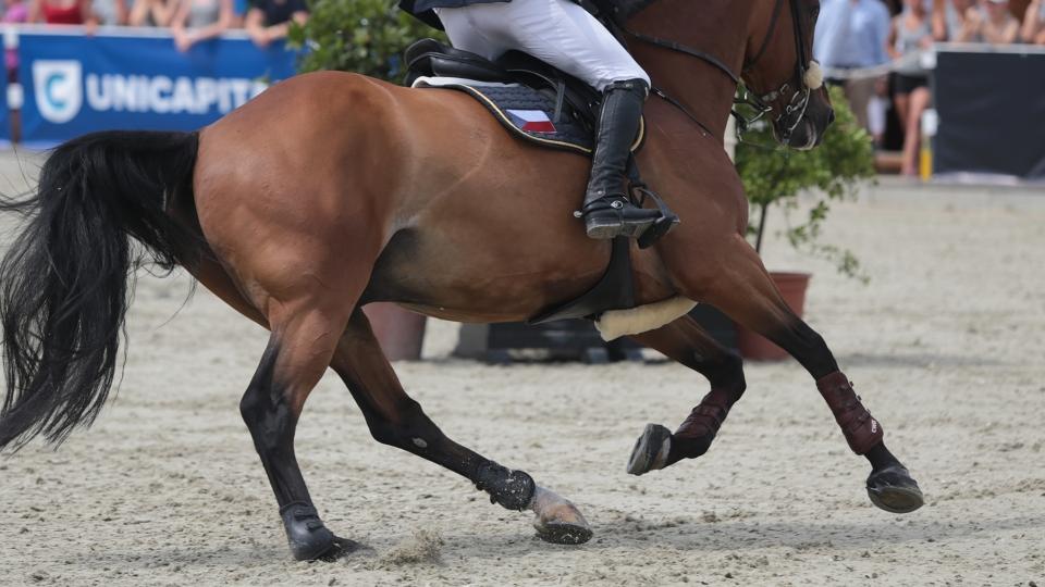 Početná ekipa jezdců odstartuje na CSI Cervia