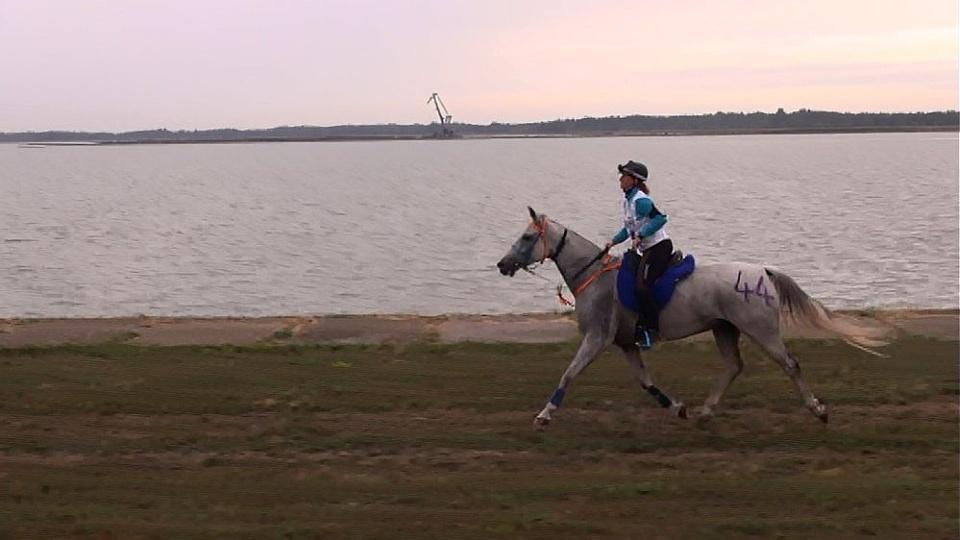 Vytrvalostní Crown Prince Cup s českou účastí