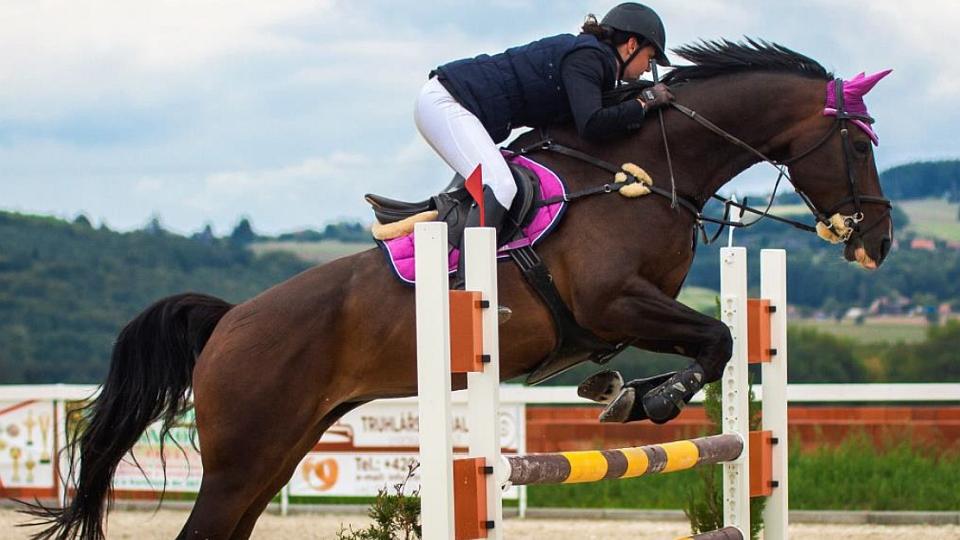 Dvanáct závodů v areálu BB Horse Čisovice