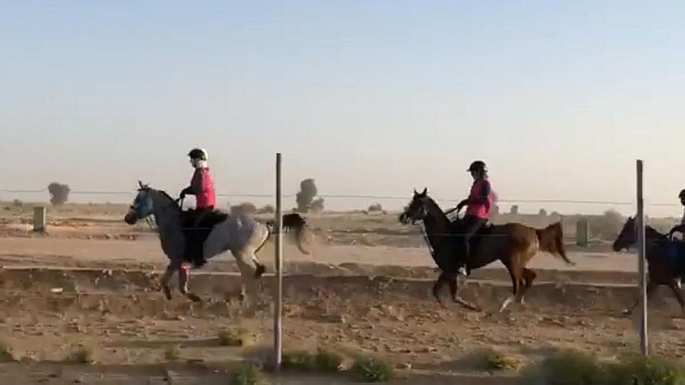 Pohár klisen v Dubaji s úspěšnou českou účastí