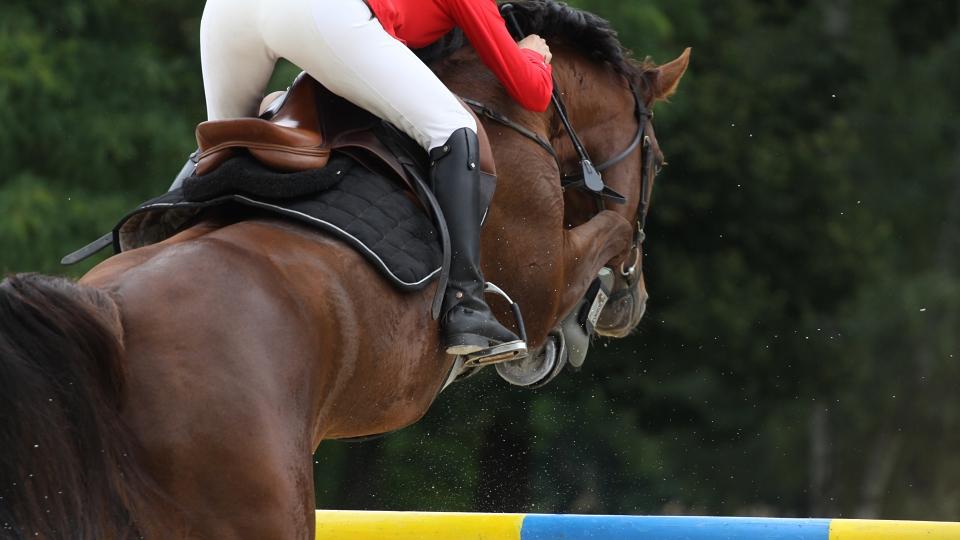 Ekipě českých jezdců se dařilo v úvodu CSI Lier