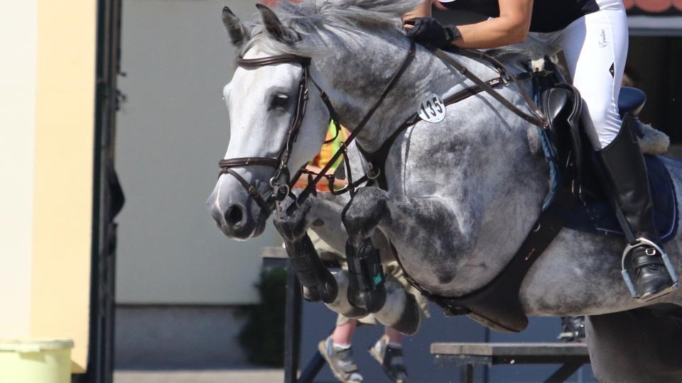 Michaela Rodová zakončila CSI Lier osmým místem