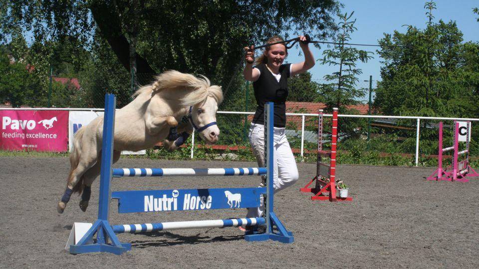 Z Jezdeckého katalogu 2018 Dámy v sedle a minikoně