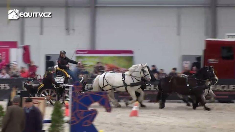 Ohlédnutí za finále vozatajského ZJP v Lysé