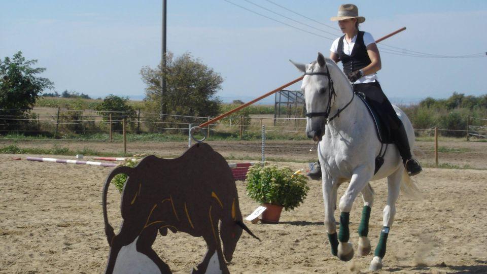 Z Jezdeckého katalogu 2018: Working Equitation