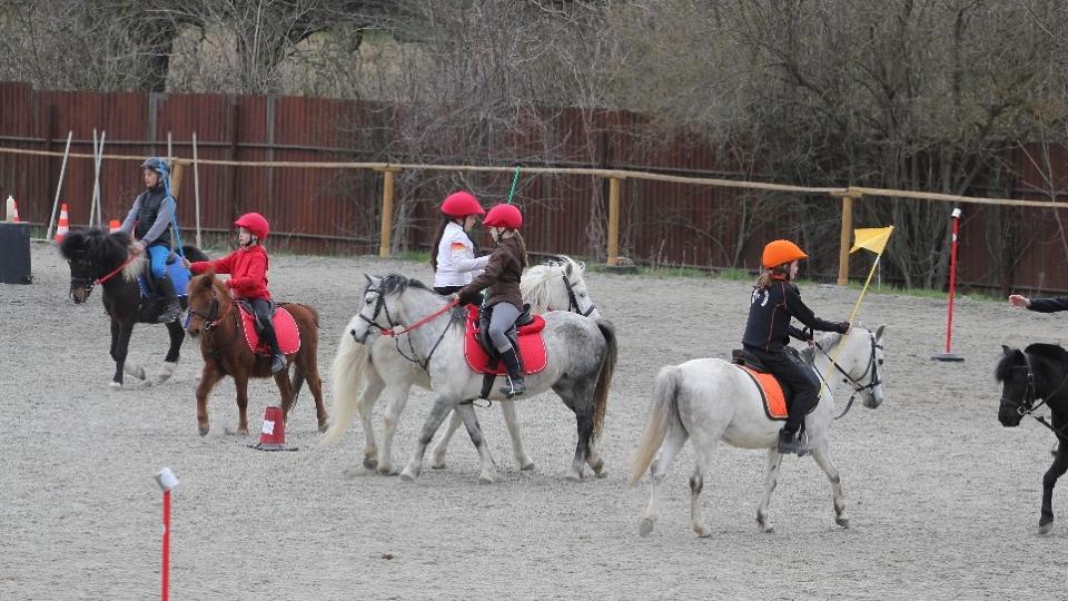 Pony-games Cup 2018 zahájen na Moravě