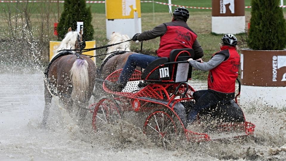 Dubnové pardubické závody spřežení ve fotogalerii