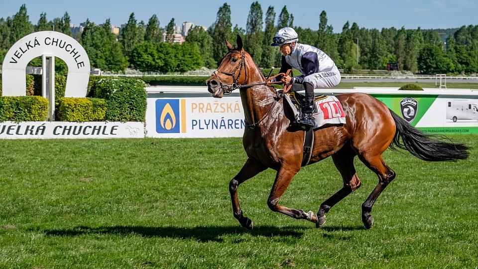 Lady Westminster vyhrála Jarní cenu klisen 2018