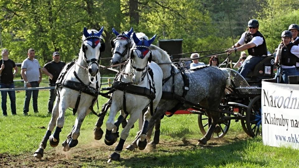Jiří Nesvačil se zúčastní CAIO4*-W ve Windsoru