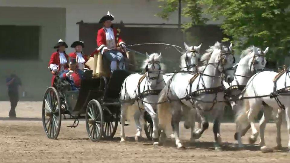 Den starokladrubského koně v reportáži EquiTV