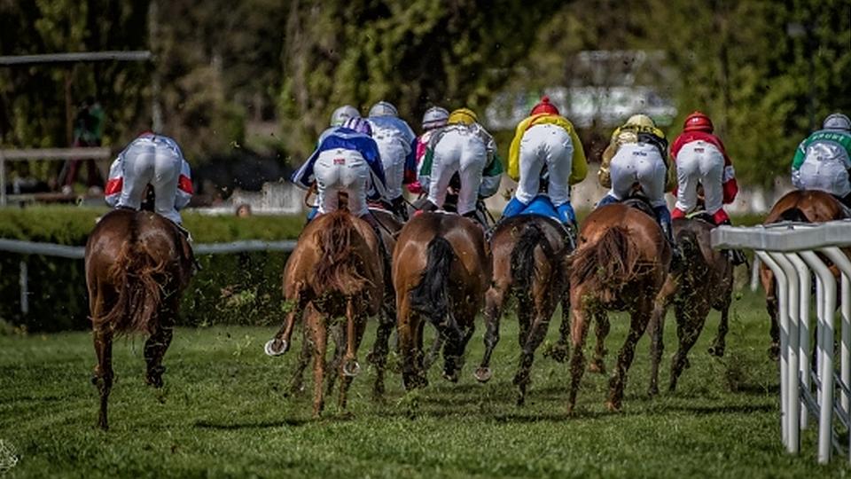 Čtyři jedničky při Turf gala vyhráli koně z Česka