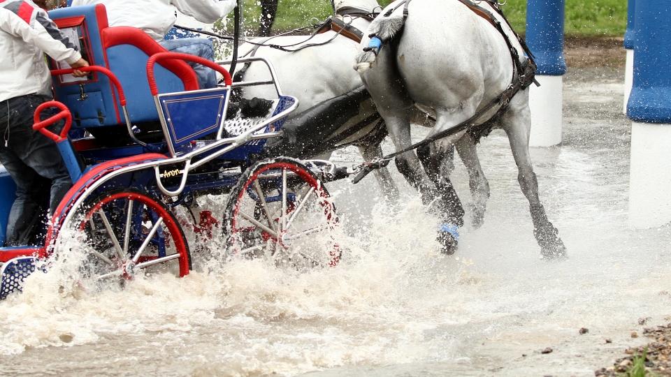 V Mimoni se konala třetí vozatajská Zlatá podkova