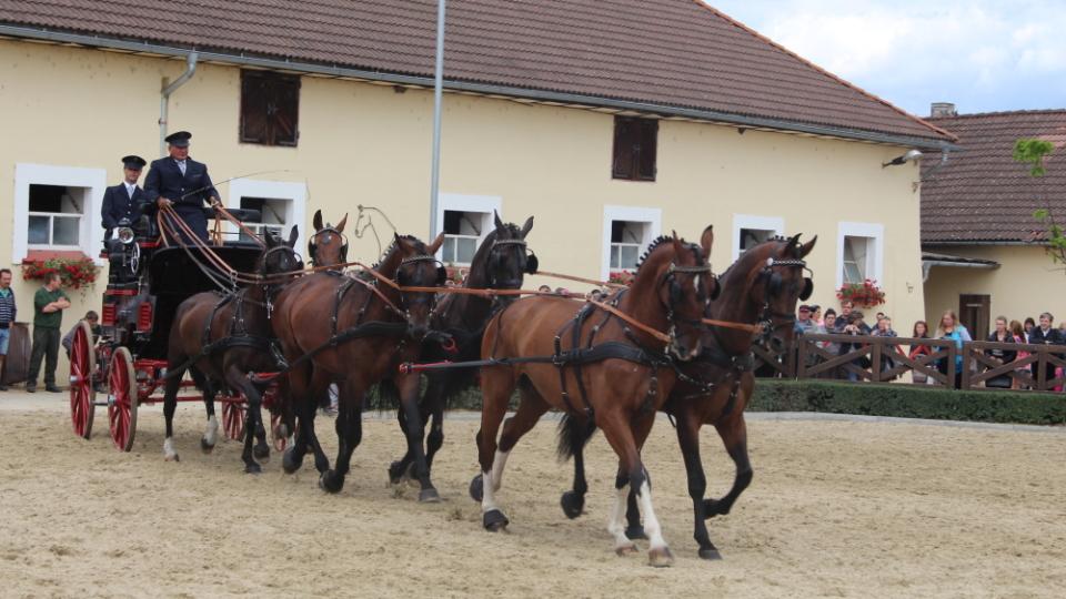 Chovatelský den ZH Tlumačov ve fotogalerii