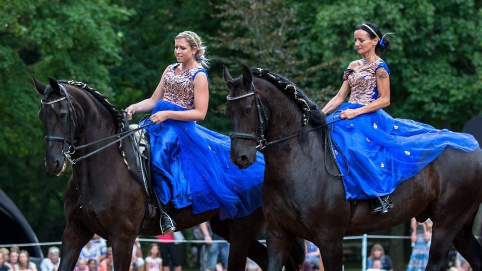 Koně pomáhají v roce 2018 opět ve velkém stylu