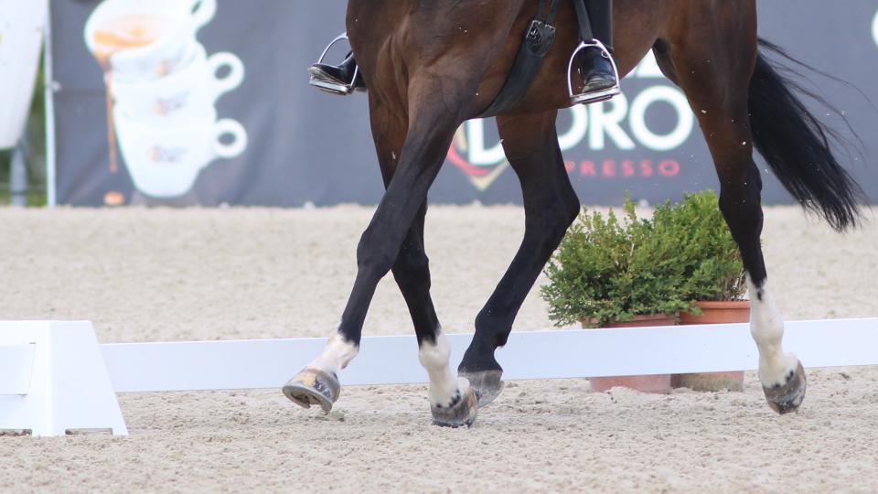 Kateřina Cox jela v Hicksteadu úlohu IM-I