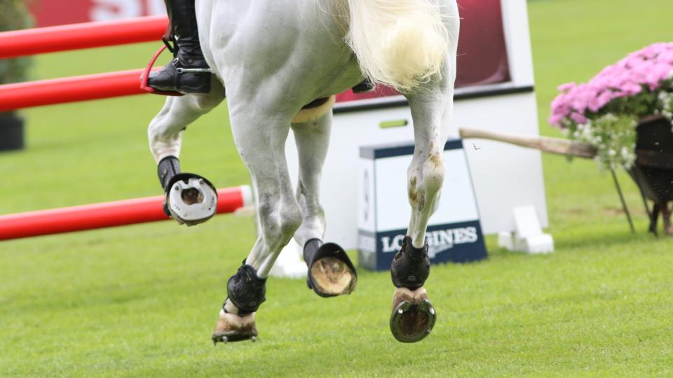 Sedmá příčka de Moussac při CSIO v Dublinu