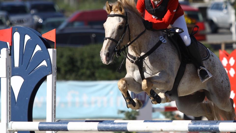 MČR pony zahájilo finále Stylového poháru 2018