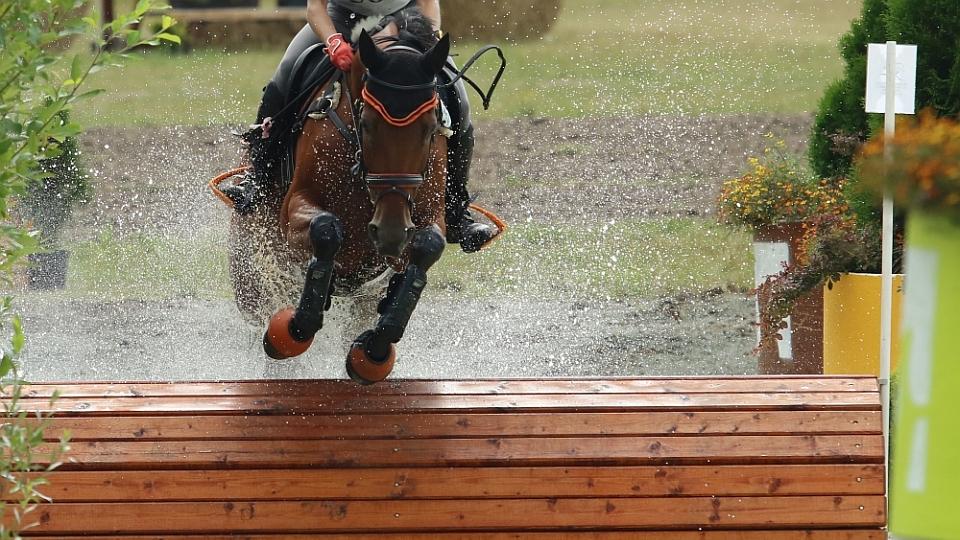 Malý pohár všestrannosti 2018 v Přeštěnicích