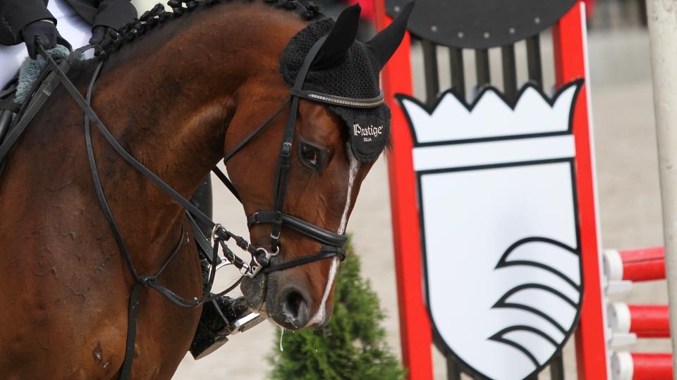 V Hradištku se schyluje k finále Champions Tour