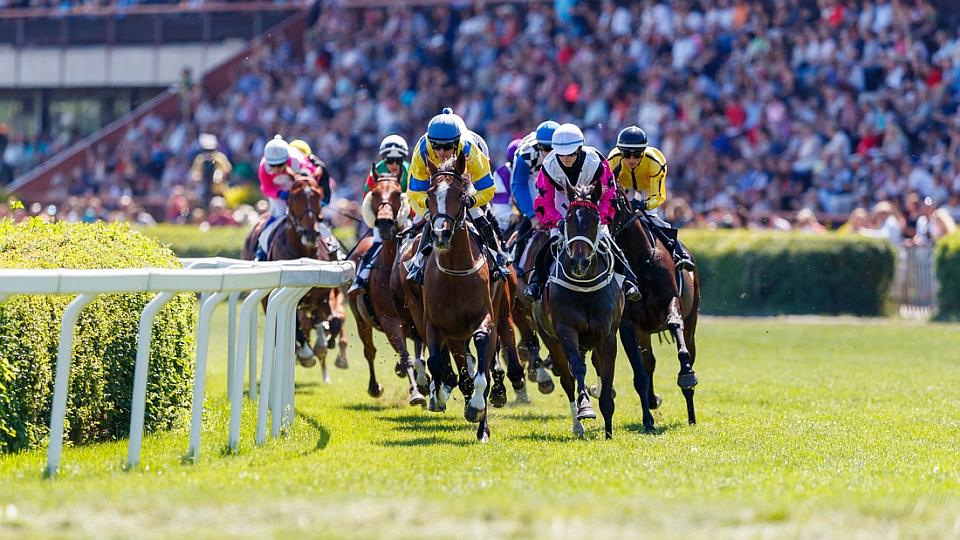 Zářijový handicap 2018 ve Velké Chuchli ŽIVĚ