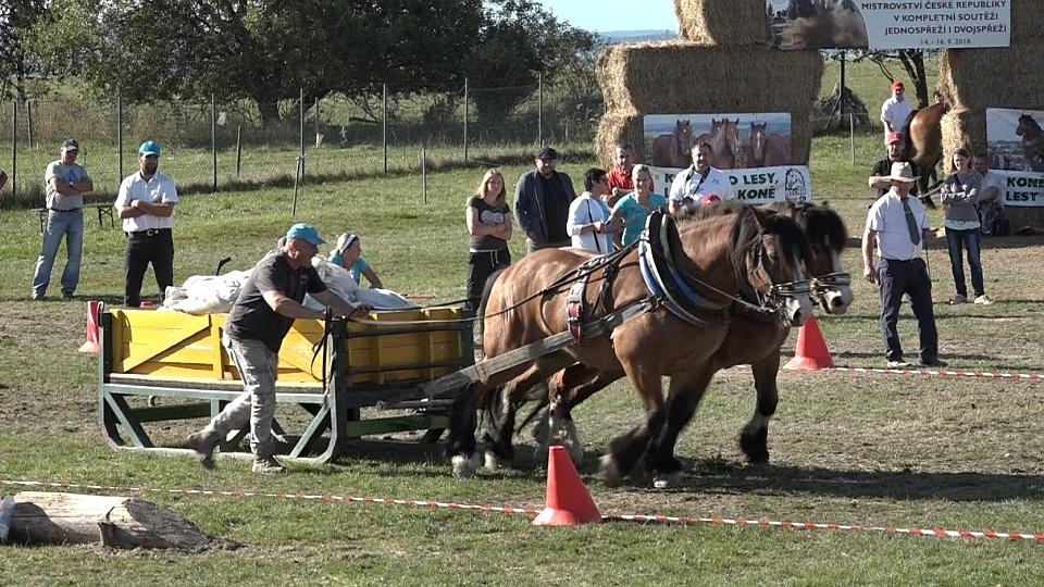 Fizek vítězem dvojspřeží MČR chladnokrevníků 2018