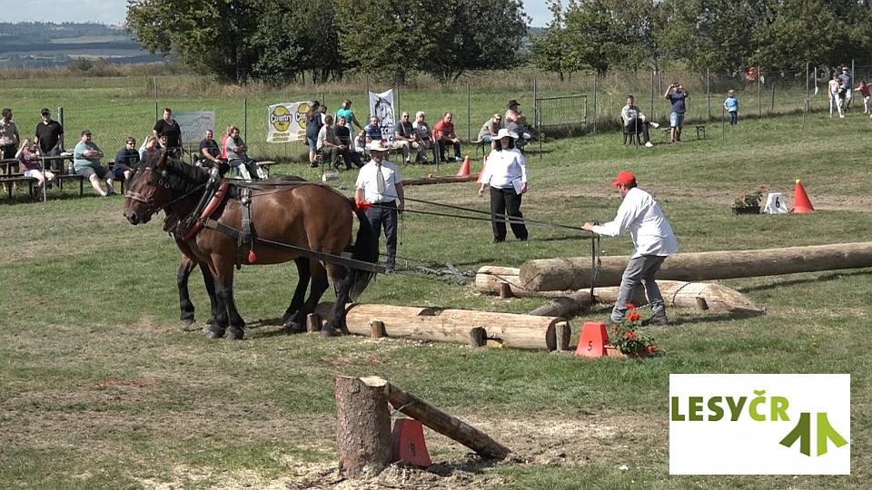 Videozáznam MČR chladnokrevníků 2018 v Klokočově