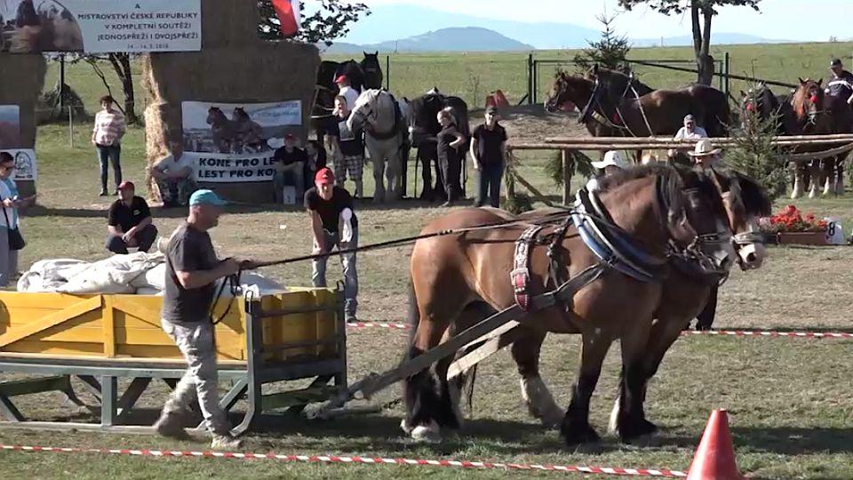 Devadesátka EquiTV z MČR chladnokrevných koní 2018